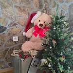 Parque de vacaciones Hiska Masa Catez ob Savi